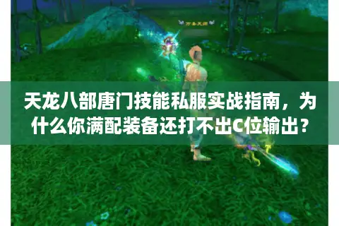 天龙八部唐门技能私服实战指南,为什么你满配装备还打不出C位输出? 天龙八部唐门技能私服实战指南,为什么你满配装备还打不出C位输出?