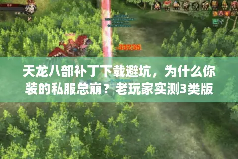 天龙八部补丁下载避坑,为什么你装的私服总崩?老玩家实测3类版本存活密码 天龙八部补丁下载避坑,为什么你装的私服总崩?老玩家实测3类版本存活密码