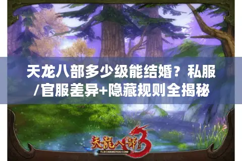 天龙八部多少级能结婚?私服/官服差异+隐藏规则全揭秘 天龙八部多少级能结婚?私服/官服差异+隐藏规则全揭秘