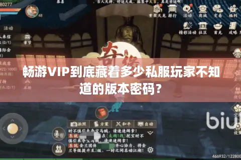 畅游VIP到底藏着多少私服玩家不知道的版本密码？