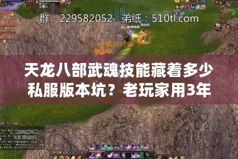 天龙八部武魂技能藏着多少私服版本坑？老玩家用3年实战教你避坑选对技能