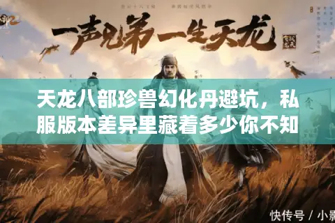 天龙八部珍兽幻化丹避坑,私服版本差异里藏着多少你不知道的实战秘密? 天龙八部珍兽幻化丹避坑,私服版本差异里藏着多少你不知道的实战秘密?