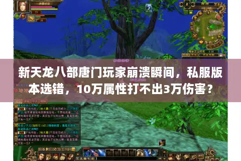 新天龙八部唐门玩家崩溃瞬间,私服版本选错,10万属性打不出3万伤害? 新天龙八部唐门玩家崩溃瞬间,私服版本选错,10万属性打不出3万伤害?