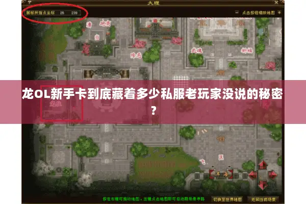 龙OL新手卡到底藏着多少私服老玩家没说的秘密？