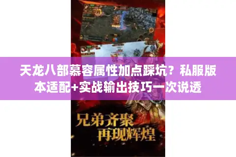 天龙八部慕容属性加点踩坑？私服版本适配+实战输出技巧一次说透