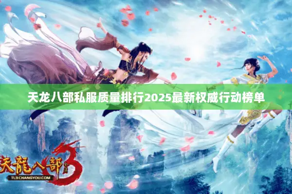 天龙八部私服质量排行2025最新权威行动榜单