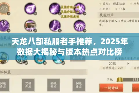 天龙八部私服老手推荐,2025年数据大揭秘与版本热点对比榜 天龙八部私服老手推荐,2025年数据大揭秘与版本热点对比榜