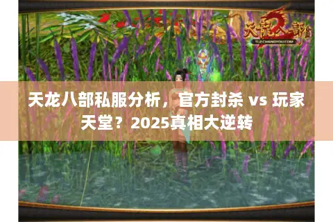 天龙八部私服分析，官方封杀 vs 玩家天堂？2025真相大逆转