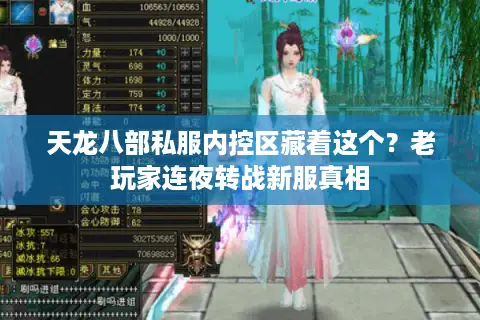 天龙八部私服内控区藏着这个？老玩家连夜转战新服真相