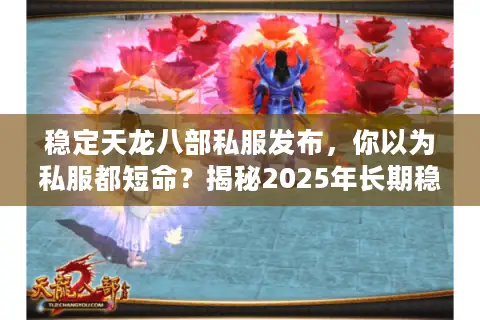 稳定天龙八部私服发布，你以为私服都短命？揭秘2025年长期稳服秘诀