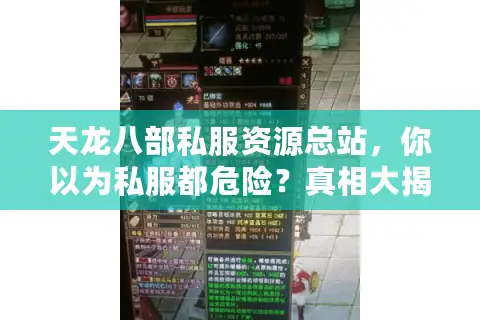 天龙八部私服资源总站，你以为私服都危险？真相大揭秘！