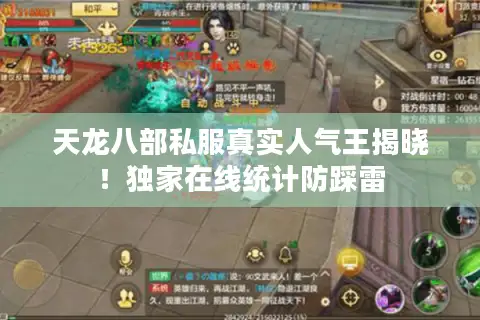 天龙八部私服真实人气王揭晓！独家在线统计防踩雷