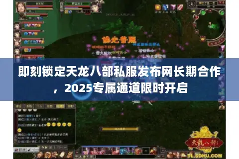 即刻锁定天龙八部私服发布网长期合作，2025专属通道限时开启