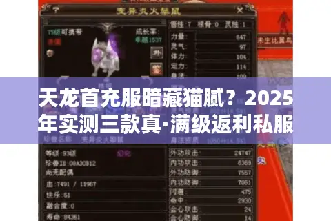 天龙首充服暗藏猫腻？2025年实测三款真·满级返利私服