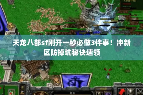 天龙八部sf刚开一秒必做3件事！冲新区防掉坑秘诀速领