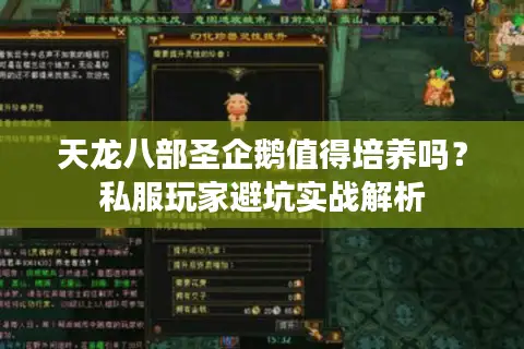 天龙八部圣企鹅值得培养吗?私服玩家避坑实战解析 天龙八部圣企鹅值得培养吗?私服玩家避坑实战解析