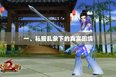 一、私服乱象下的真实困境 一、私服乱象下的真实困境