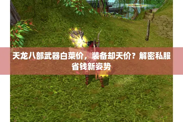 天龙八部武器白菜价，装备却天价？解密私服省钱新姿势
