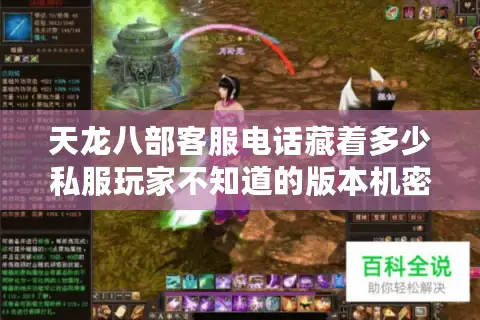 天龙八部客服电话藏着多少私服玩家不知道的版本机密？