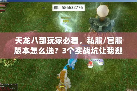 天龙八部玩家必看，私服/官服版本怎么选？3个实战坑让我避开90%弯路