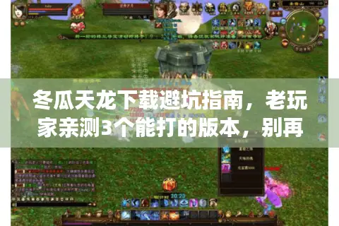 冬瓜天龙下载避坑指南，老玩家亲测3个能打的版本，别再乱找了！
