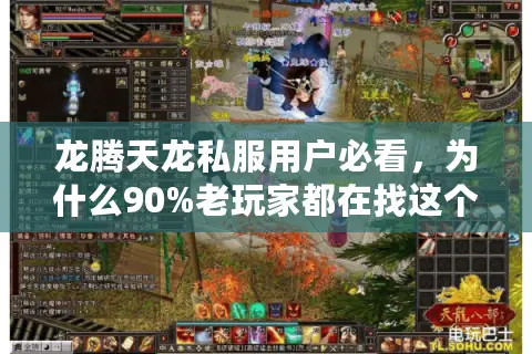 龙腾天龙私服用户必看，为什么90%老玩家都在找这个隐藏版本？