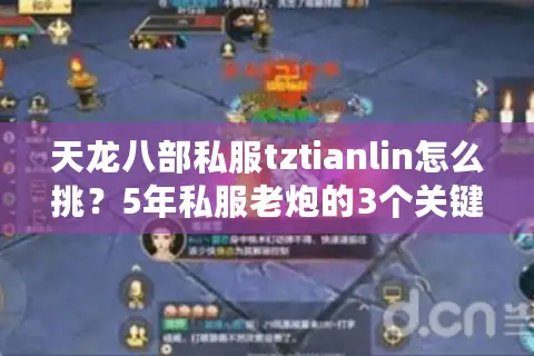 天龙八部私服tztianlin怎么挑？5年私服老炮的3个关键判断法