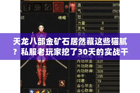 天龙八部金矿石居然藏这些猫腻？私服老玩家挖了30天的实战干货全泄