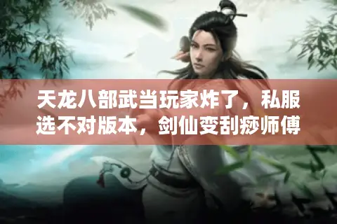 天龙八部武当玩家炸了,私服选不对版本,剑仙变刮痧师傅? 天龙八部武当玩家炸了,私服选不对版本,剑仙变刮痧师傅?