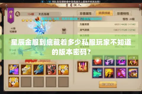 星辰金服到底藏着多少私服玩家不知道的版本密码？