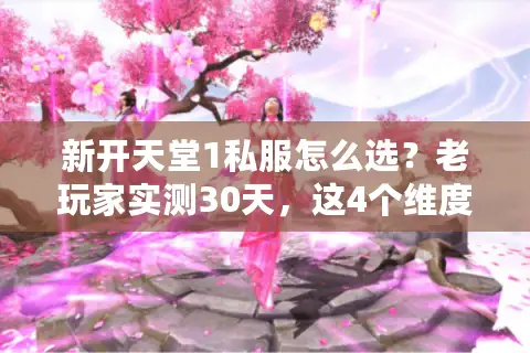 新开天堂1私服怎么选？老玩家实测30天，这4个维度帮你避坑90%雷区