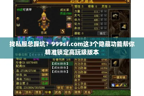 找私服总踩坑？999sf.com这3个隐藏功能帮你精准锁定高玩级版本