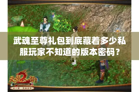 武魂至尊礼包到底藏着多少私服玩家不知道的版本密码？