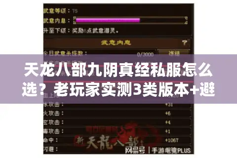天龙八部九阴真经私服怎么选？老玩家实测3类版本+避坑攻略，看完直接上手