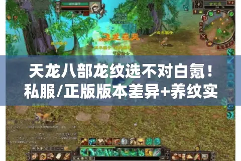 天龙八部龙纹选不对白氪!私服/正版版本差异+养纹实战全拆解 天龙八部龙纹选不对白氪!私服/正版版本差异+养纹实战全拆解