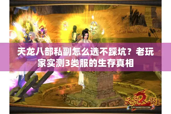 天龙八部私副怎么选不踩坑？老玩家实测3类服的生存真相