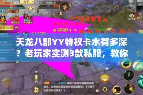天龙八部YY特权卡水有多深?老玩家实测3款私服,教你避坑拿真福利 天龙八部YY特权卡水有多深?老玩家实测3款私服,教你避坑拿真福利