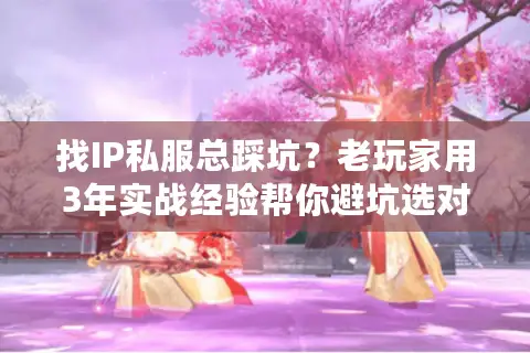 找IP私服总踩坑？老玩家用3年实战经验帮你避坑选对版本