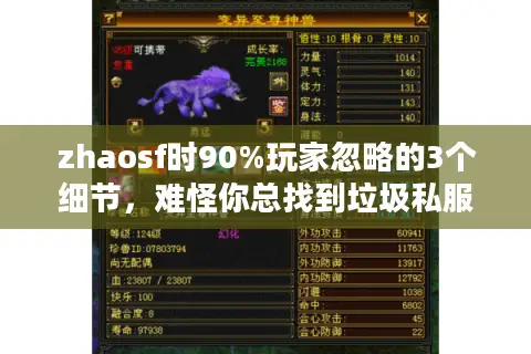 zhaosf时90%玩家忽略的3个细节，难怪你总找到垃圾私服！