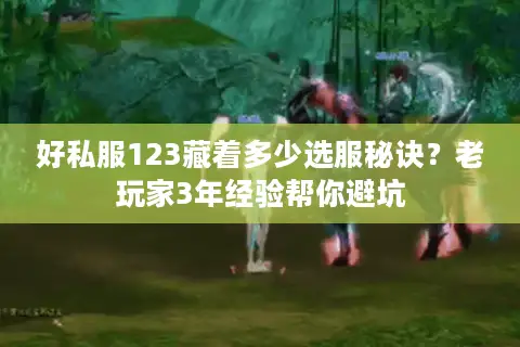 好私服123藏着多少选服秘诀？老玩家3年经验帮你避坑