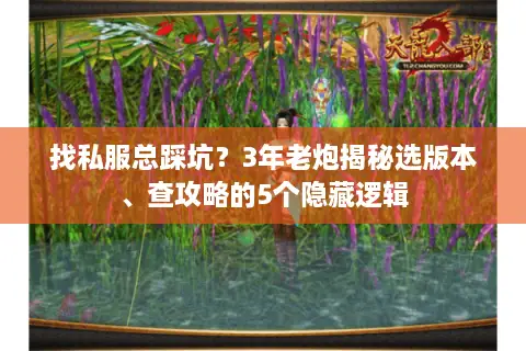 找私服总踩坑？3年老炮揭秘选版本、查攻略的5个隐藏逻辑