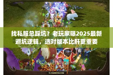 找私服总踩坑?老玩家曝2025最新避坑逻辑,选对版本比肝更重要 找私服总踩坑?老玩家曝2025最新避坑逻辑,选对版本比肝更重要