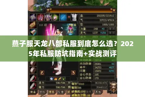 燕子服天龙八部私服到底怎么选？2025年私服防坑指南+实战测评