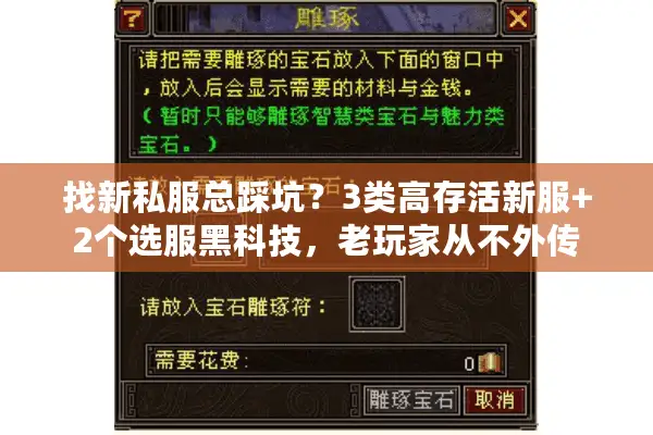 找新私服总踩坑？3类高存活新服+2个选服黑科技，老玩家从不外传