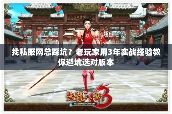 找私服网总踩坑？老玩家用3年实战经验教你避坑选对版本