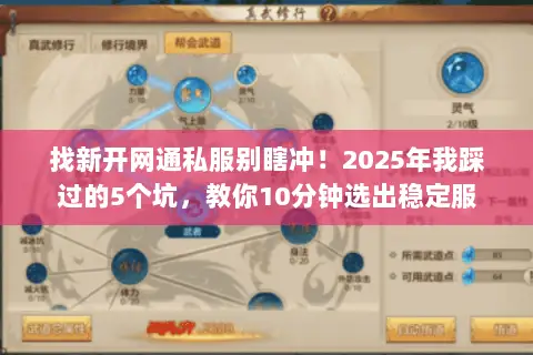 找新开网通私服别瞎冲！2025年我踩过的5个坑，教你10分钟选出稳定服