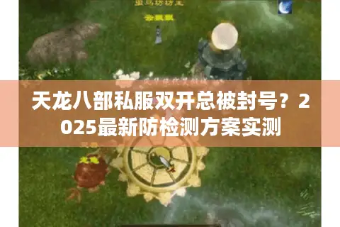 天龙八部私服双开总被封号？2025最新防检测方案实测