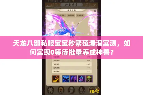 天龙八部私服宝宝秒繁殖漏洞实测，如何实现0等待批量养成神兽？
