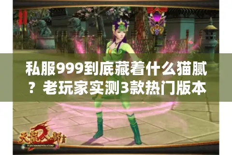 私服999到底藏着什么猫腻?老玩家实测3款热门版本后的掏心窝总结 私服999到底藏着什么猫腻?老玩家实测3款热门版本后的掏心窝总结