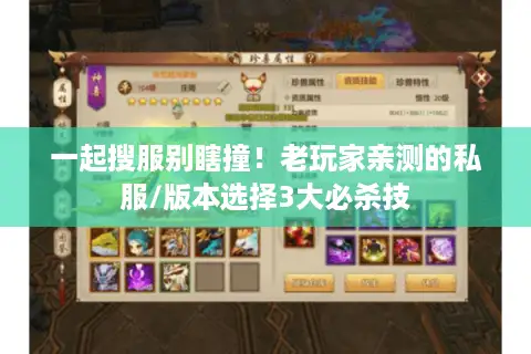 一起搜服别瞎撞！老玩家亲测的私服/版本选择3大必杀技